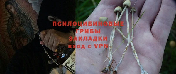каннабис Новокубанск