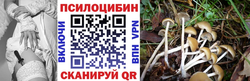 Галлюциногенные грибы Psilocybe магазин продажи наркотиков Домодедово